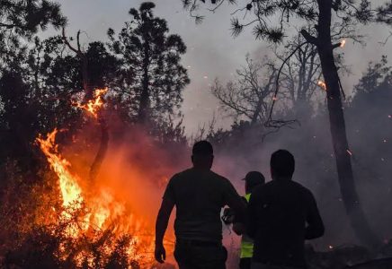 الجزائر: اندلاع 154 حريقا يخلف 12 وفاة وعشرات الإصابات